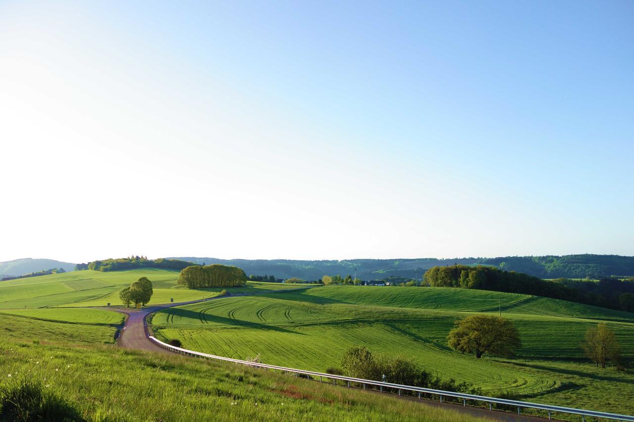 Speedys Gaestehaus Baar  エクステリア 写真
